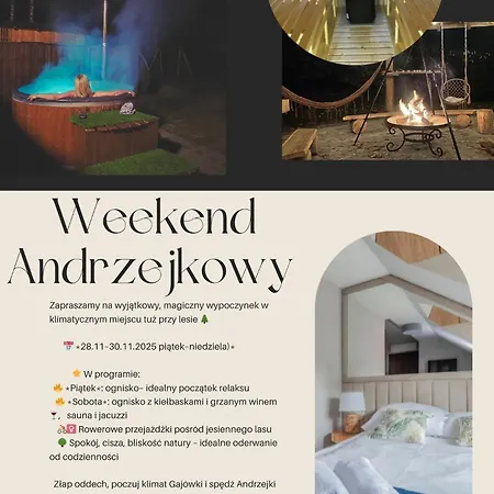 Gajowka- Rowery, Plac Zabaw, Sauna, Jacuzzi Appartement Stegna (Pomerania)